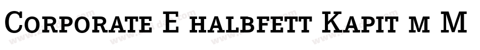 Corporate E halbfett Kapit m Medziff字体转换